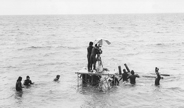 cinematography Quotes, Jaws