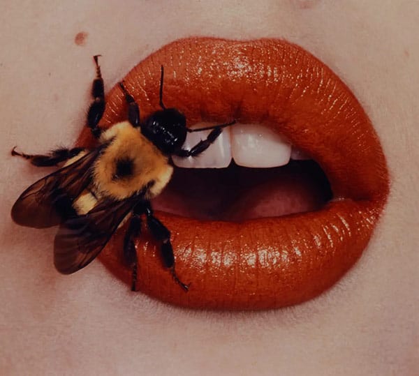 Bee on Lips, Irving Penn